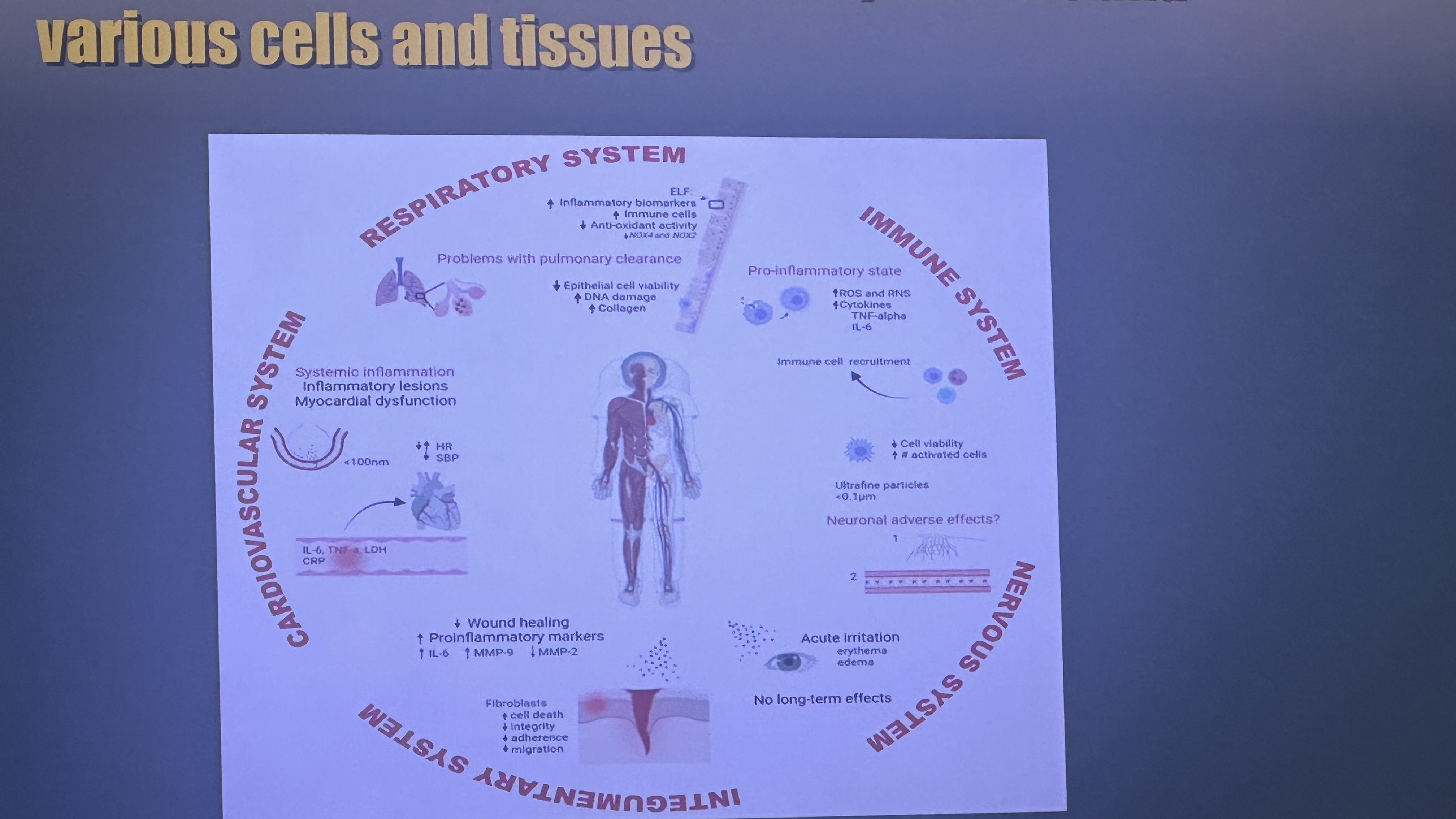 KinKinetics Presentation at ELGRA